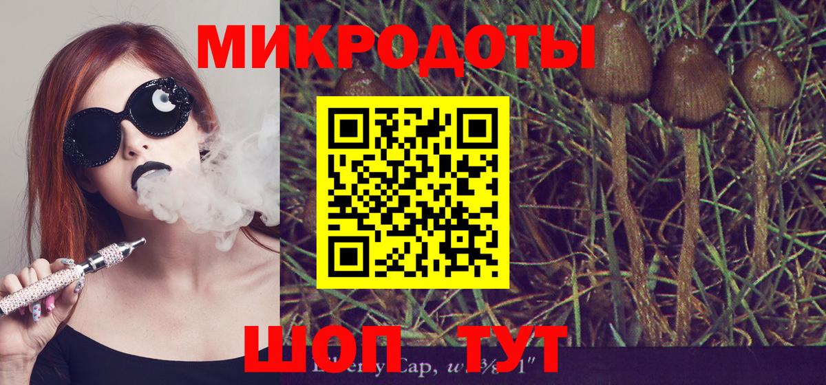 Галлюциногенные грибы Cubensis Елизово