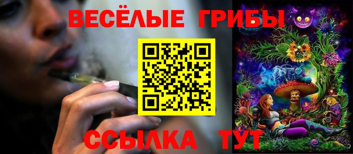 Елизово  что такое наркотик  Псилоцибиновые грибы мухоморы  Вход с VPN  Галлюциногенные грибы MAGIC MUSHROOMS 