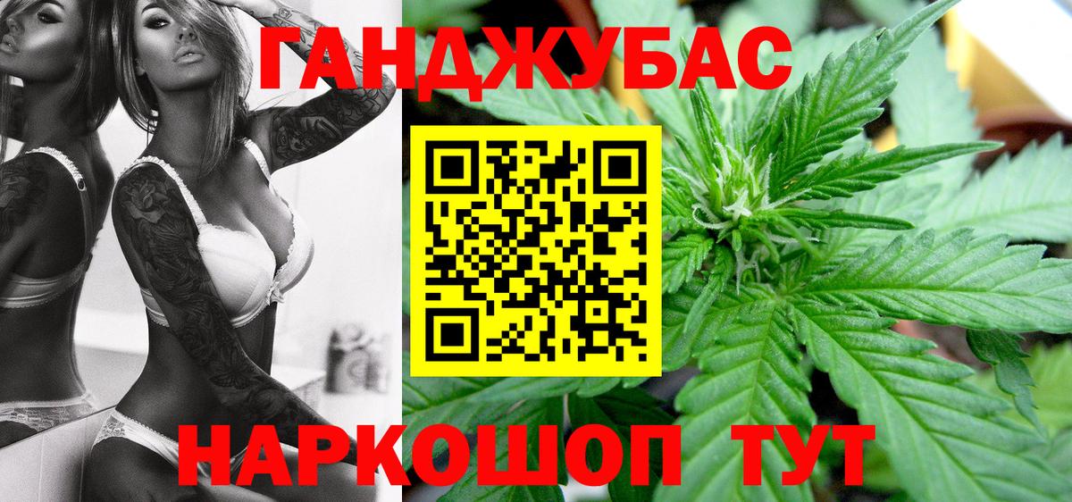 Конопля сатива Елизово